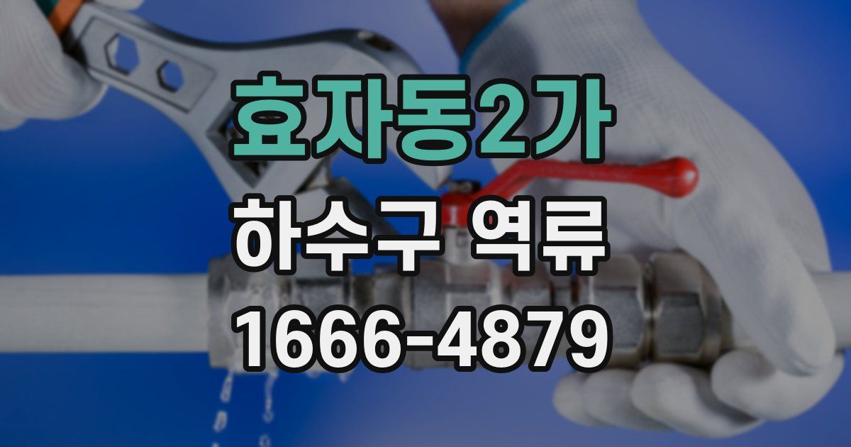 효자동2가 하수구 역류