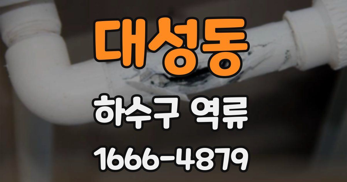 대성동 하수구 역류