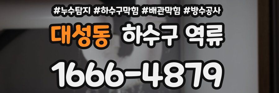 대성동 하수구 역류