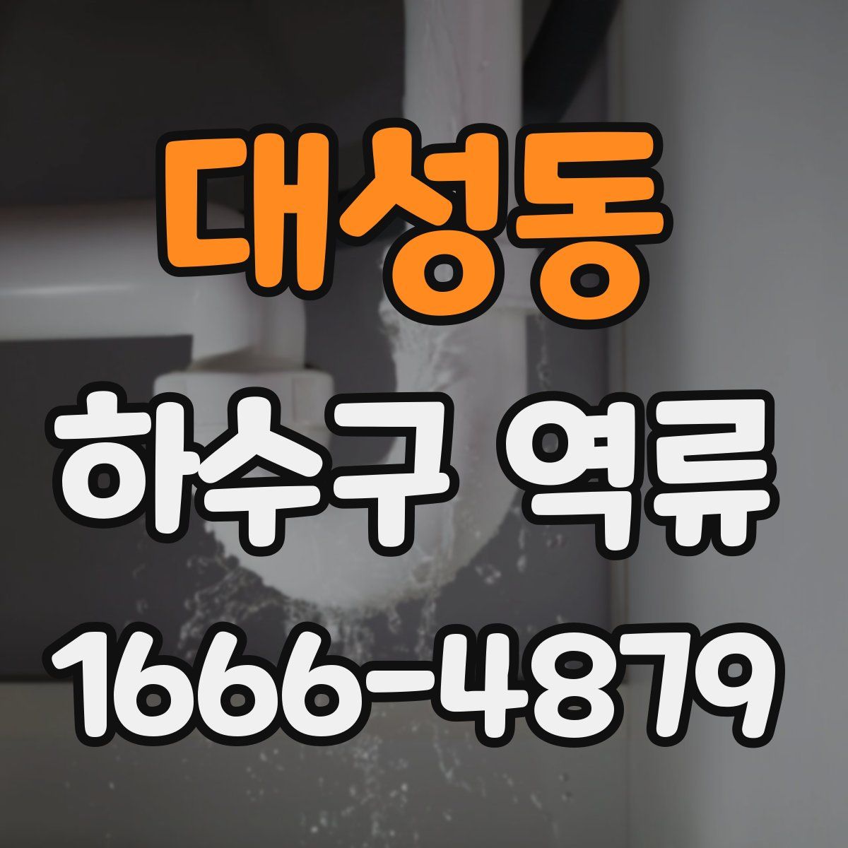대성동 하수구 역류