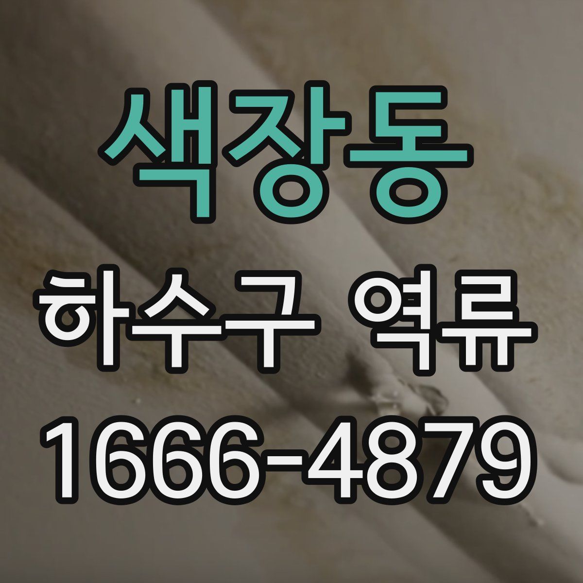 색장동 하수구 역류