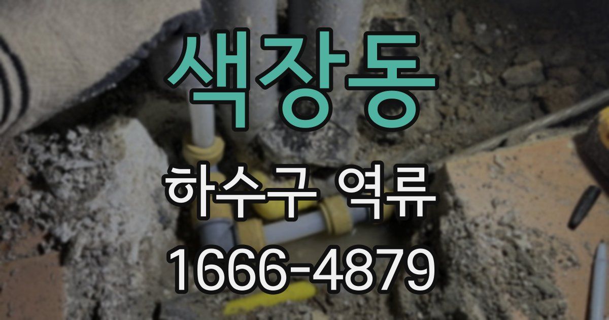 색장동 하수구 역류