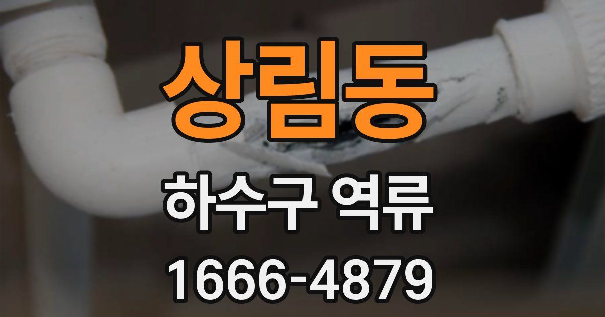상림동 하수구 역류