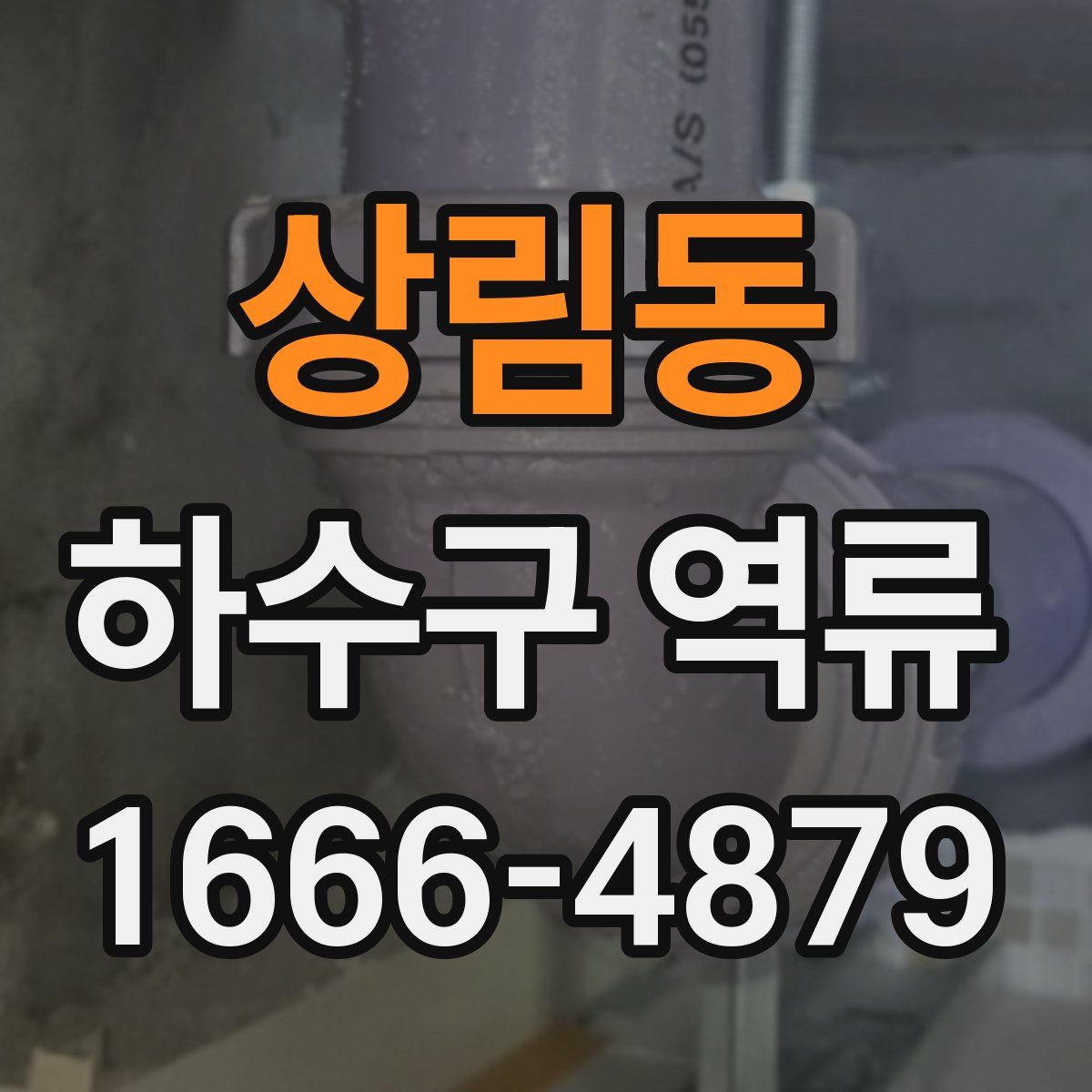 상림동 하수구 역류