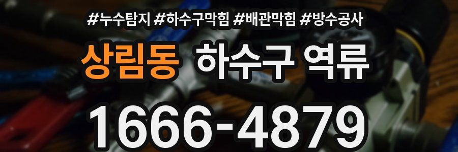 상림동 하수구 역류
