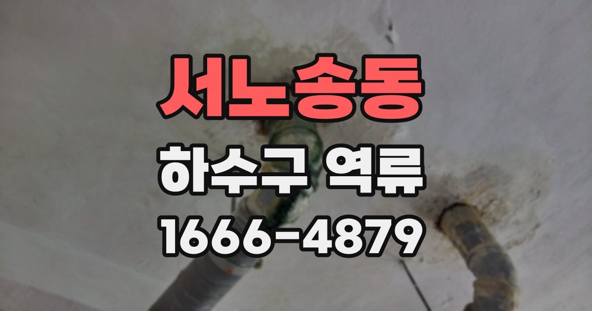 서노송동 하수구 역류