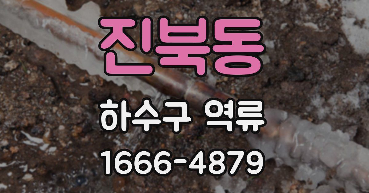 진북동 하수구 역류