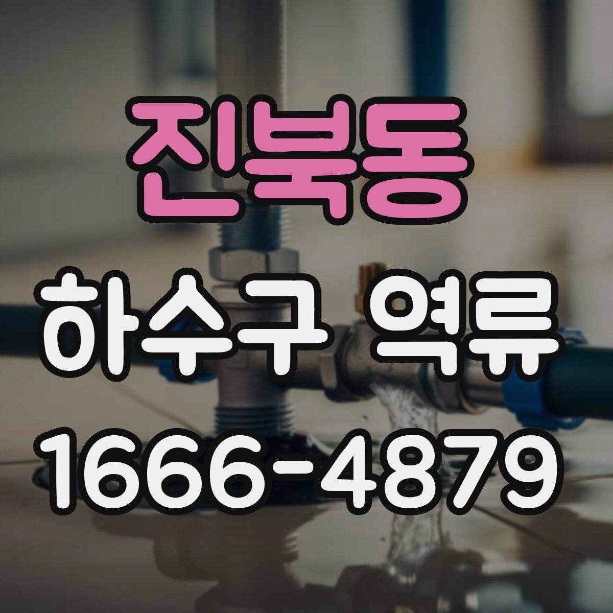진북동 하수구 역류