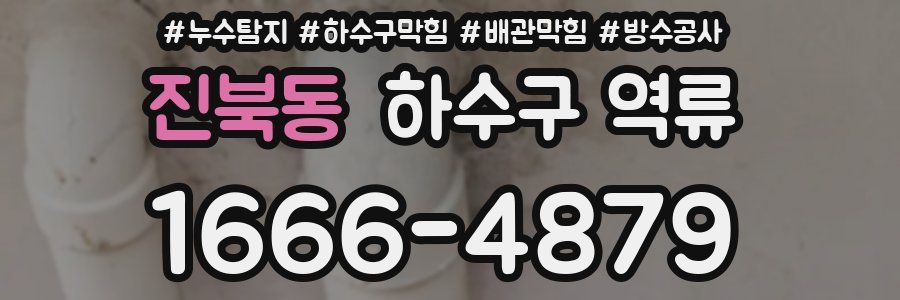 진북동 하수구 역류