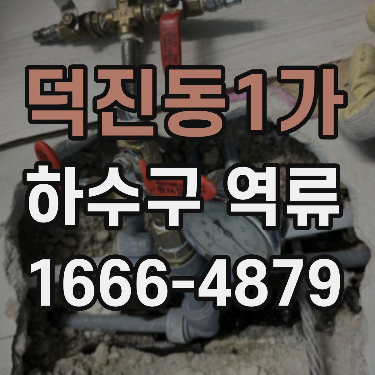 덕진동1가 하수구 역류