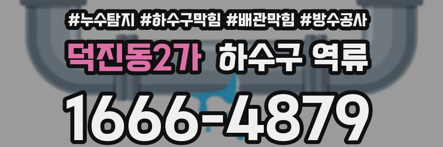 덕진동2가 하수구 역류