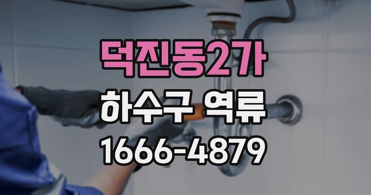 덕진동2가 하수구 역류
