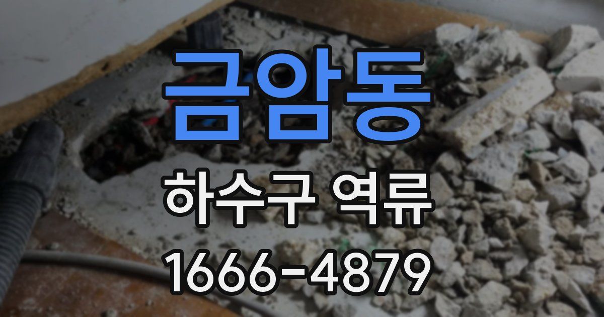 금암동 하수구 역류