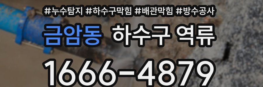 금암동 하수구 역류
