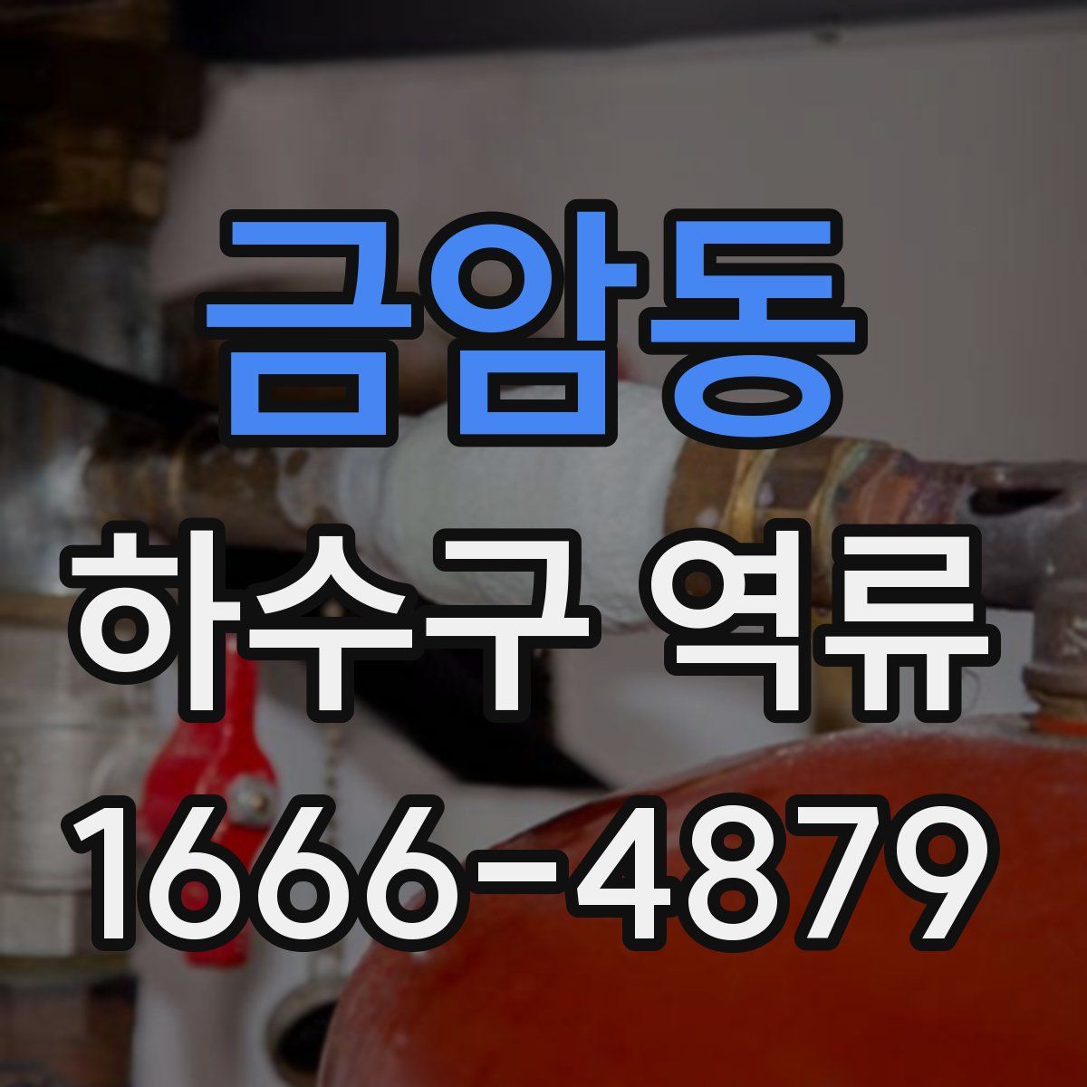 금암동 하수구 역류