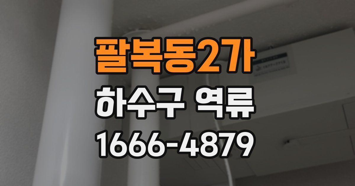 팔복동2가 하수구 역류