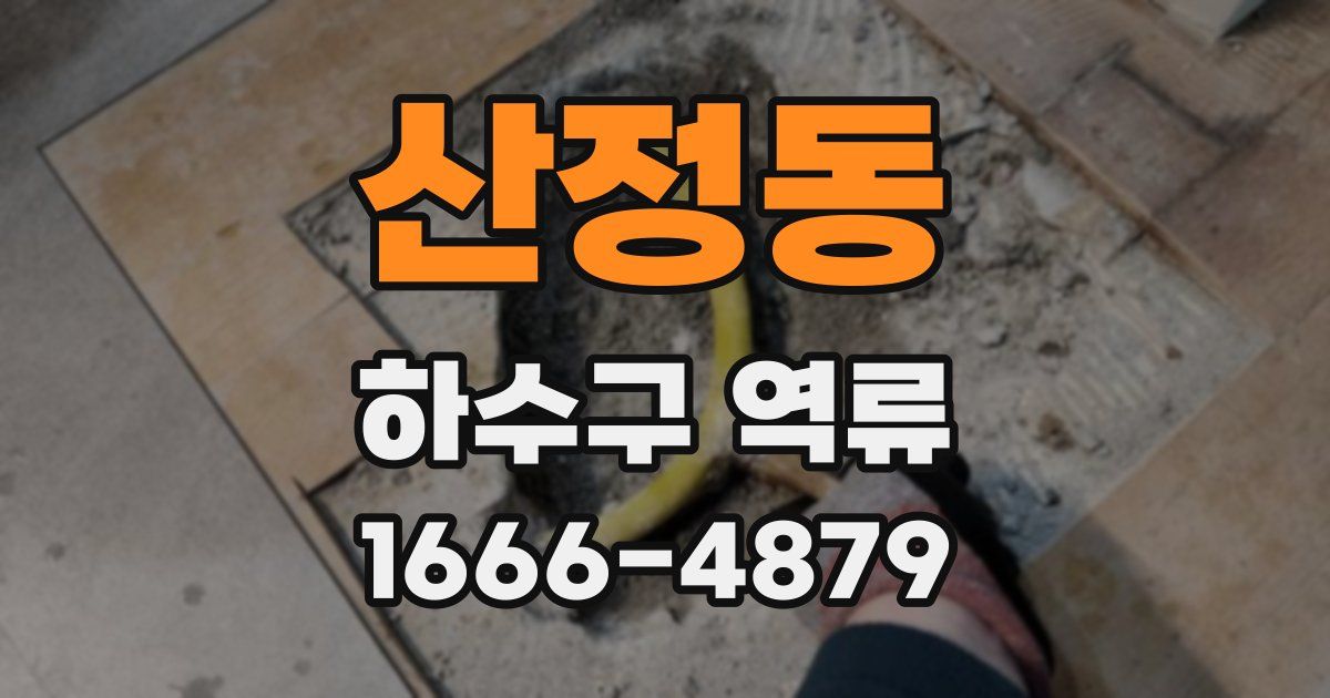 산정동 하수구 역류