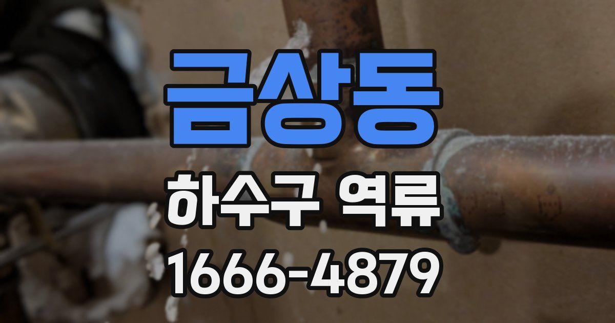 금상동 하수구 역류