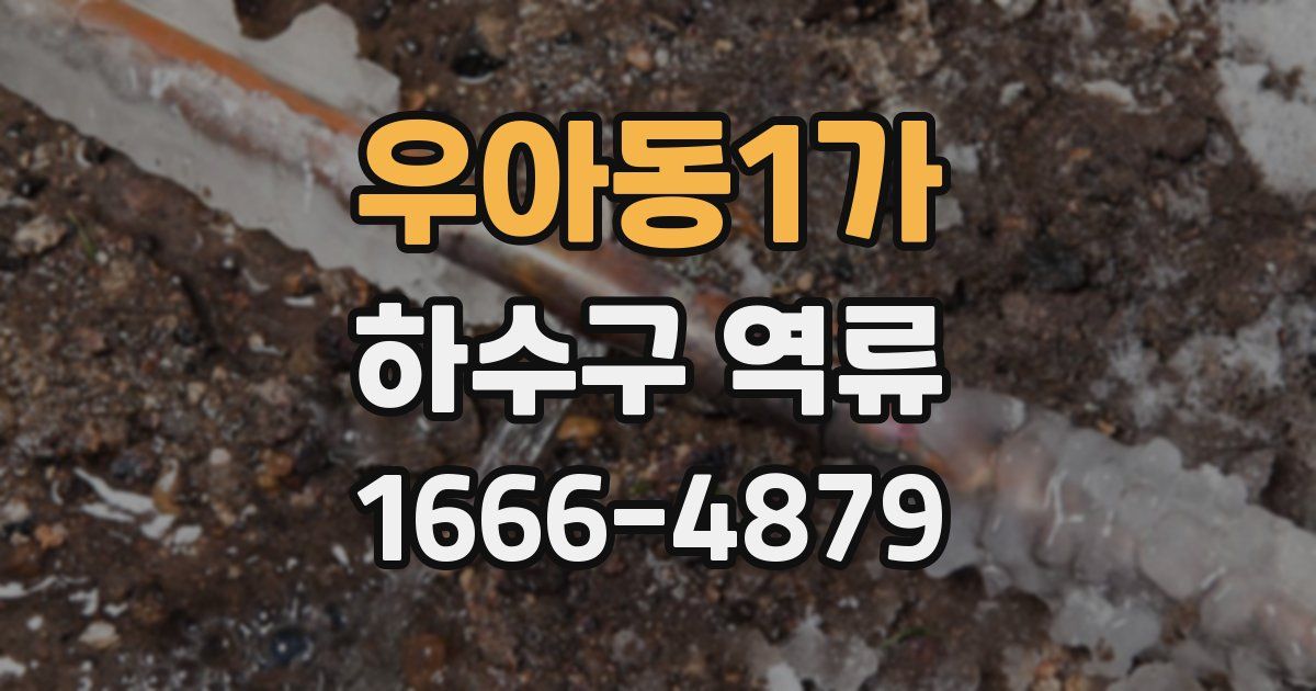 우아동1가 하수구 역류
