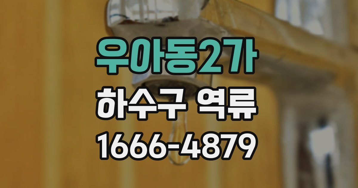 우아동2가 하수구 역류