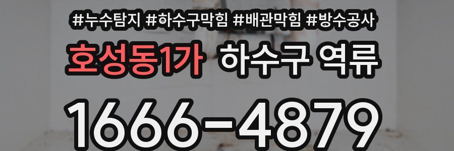 호성동1가 하수구 역류