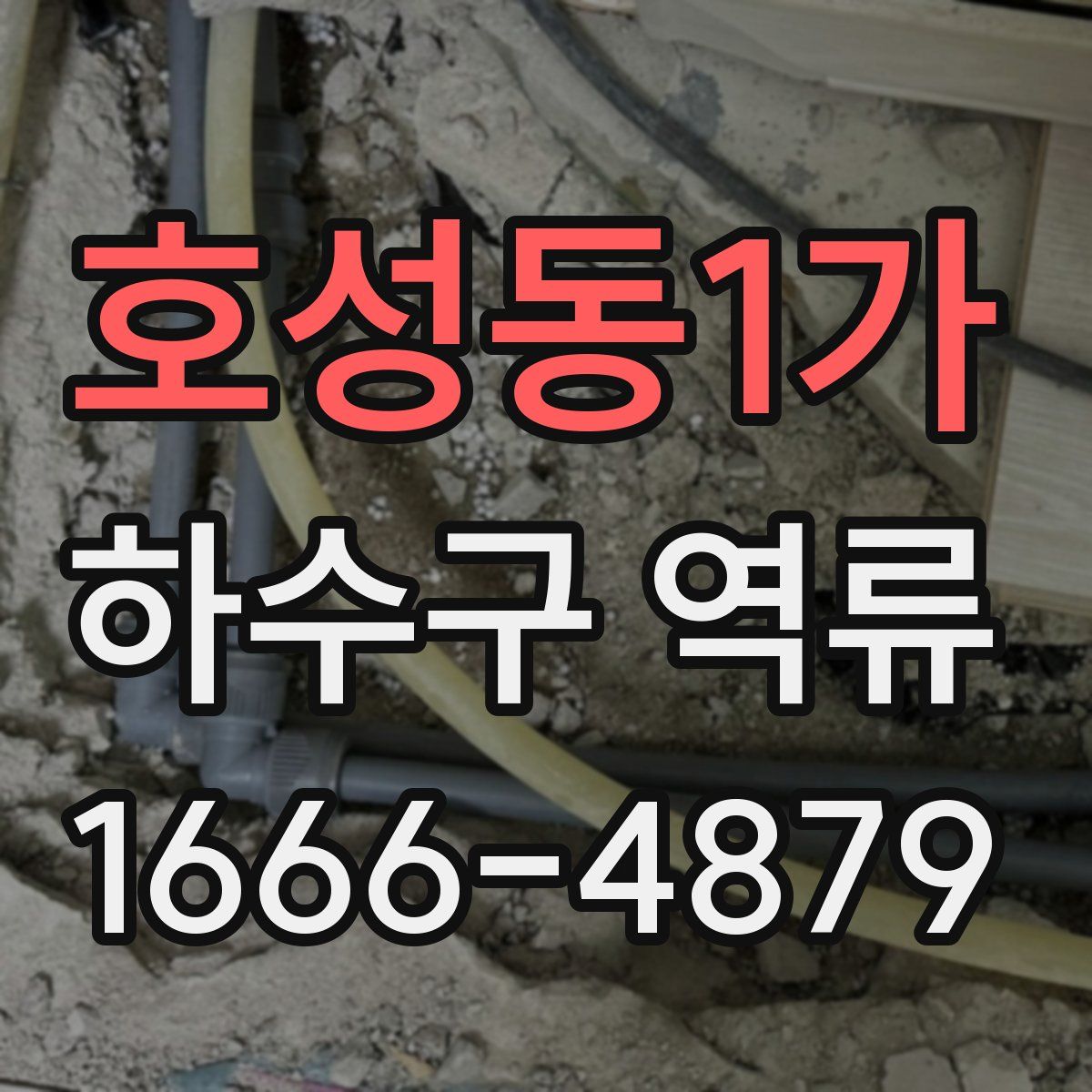 호성동1가 하수구 역류