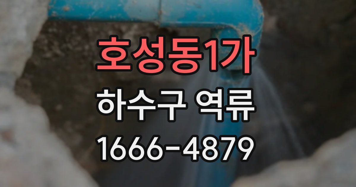 호성동1가 하수구 역류