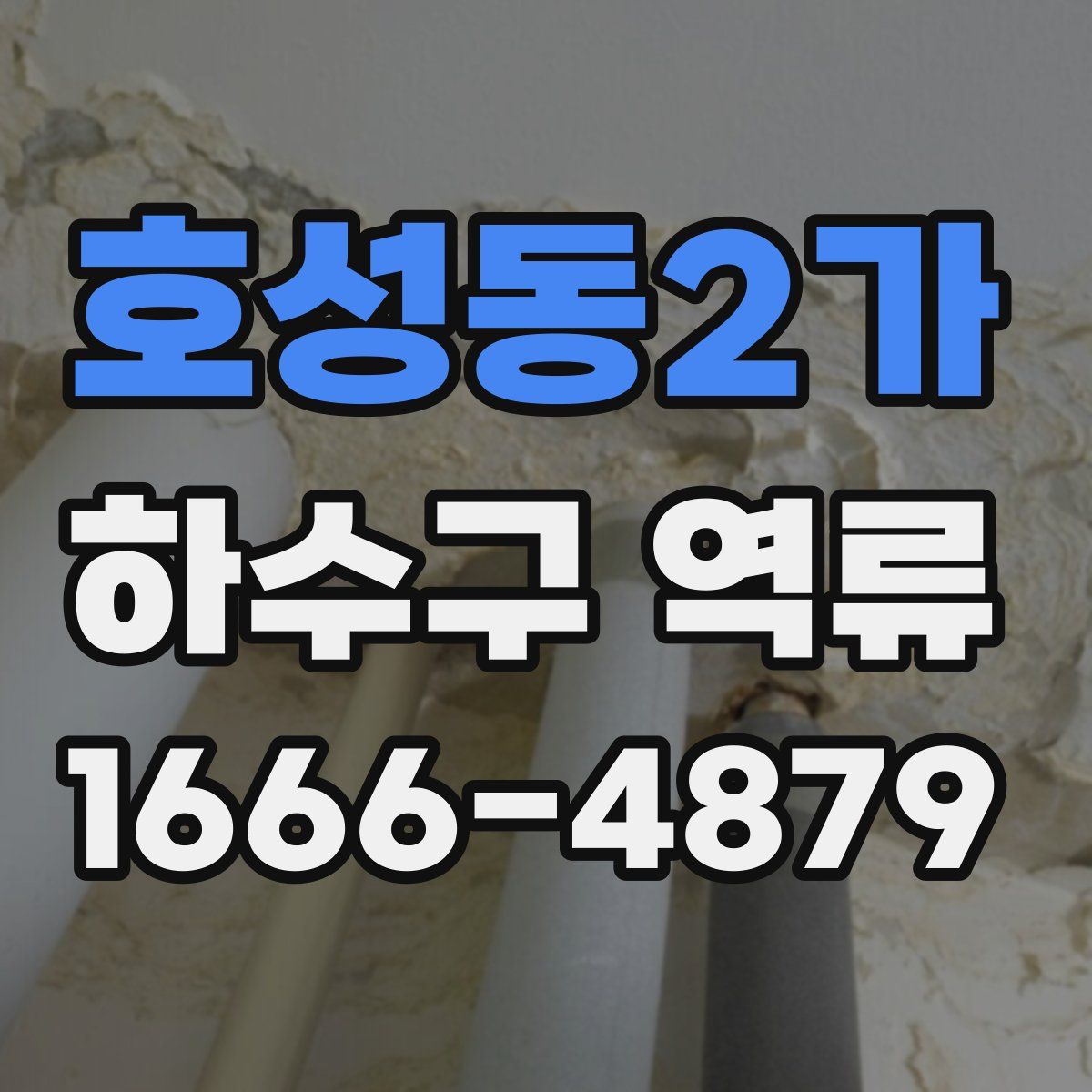 호성동2가 하수구 역류