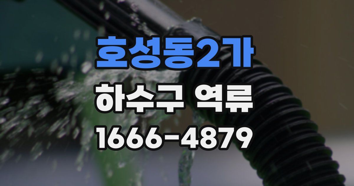 호성동2가 하수구 역류