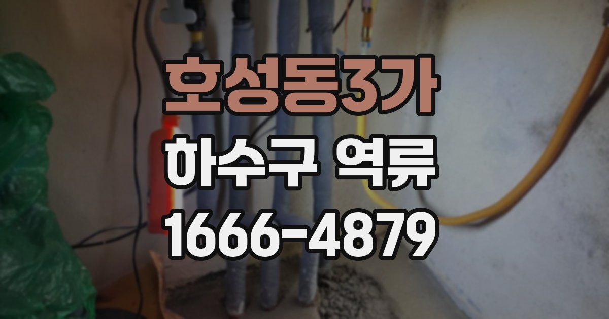 호성동3가 하수구 역류