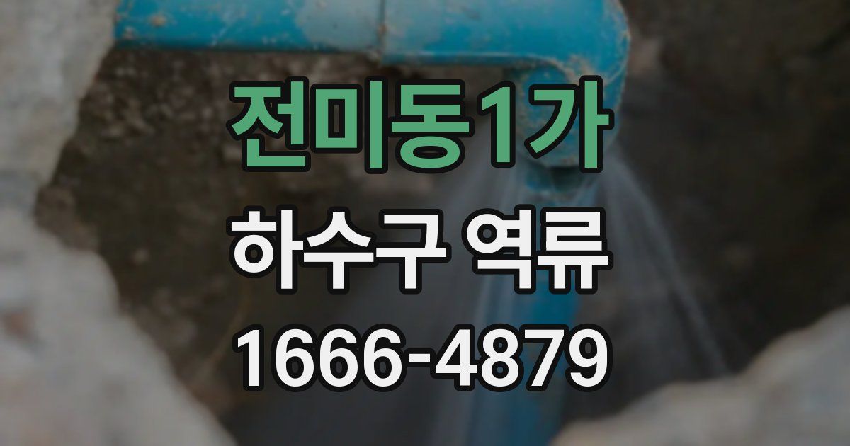 전미동1가 하수구 역류