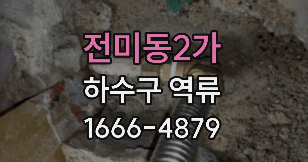 전미동2가 하수구 역류