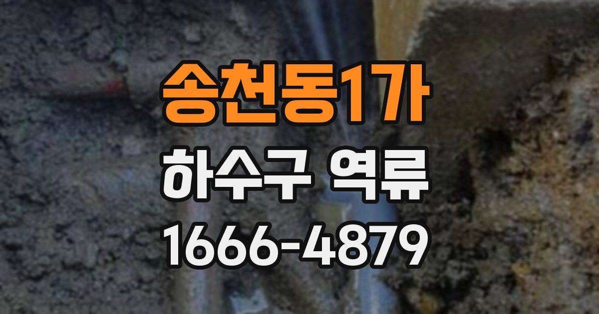 송천동1가 하수구 역류