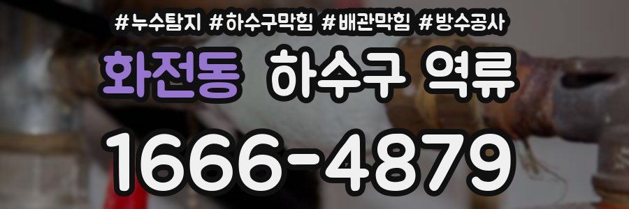 화전동 하수구 역류