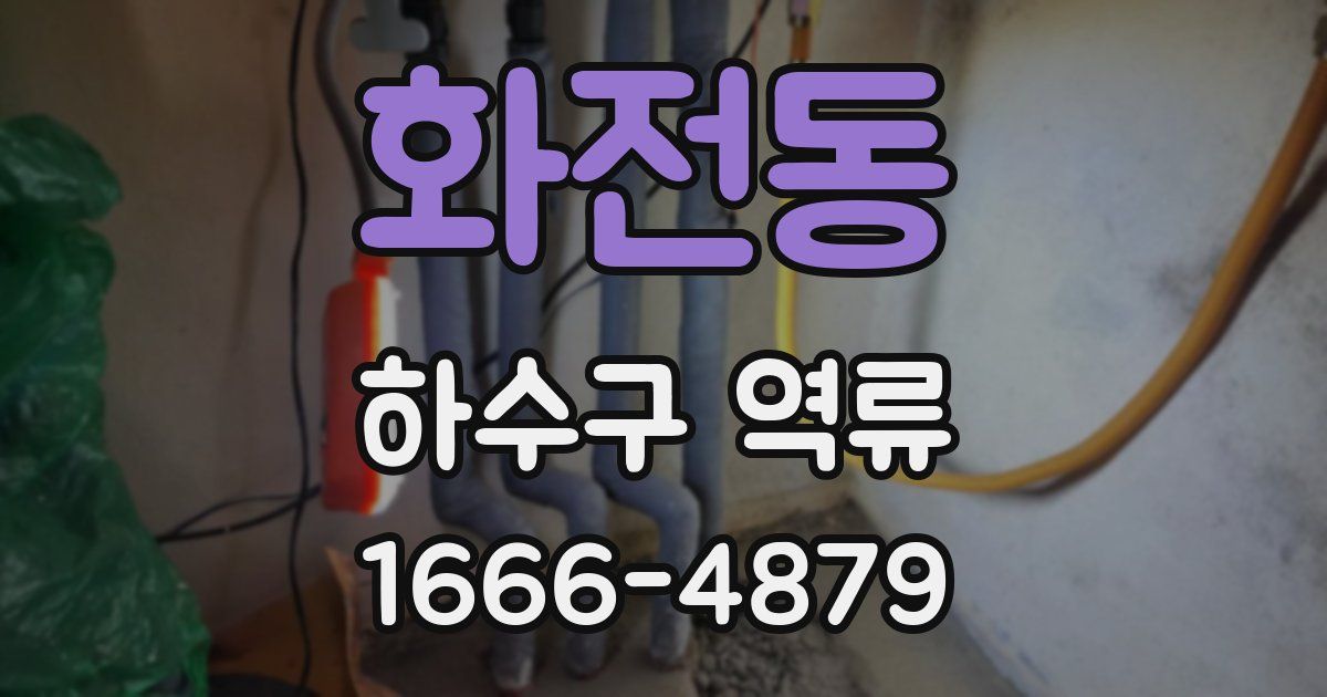 화전동 하수구 역류