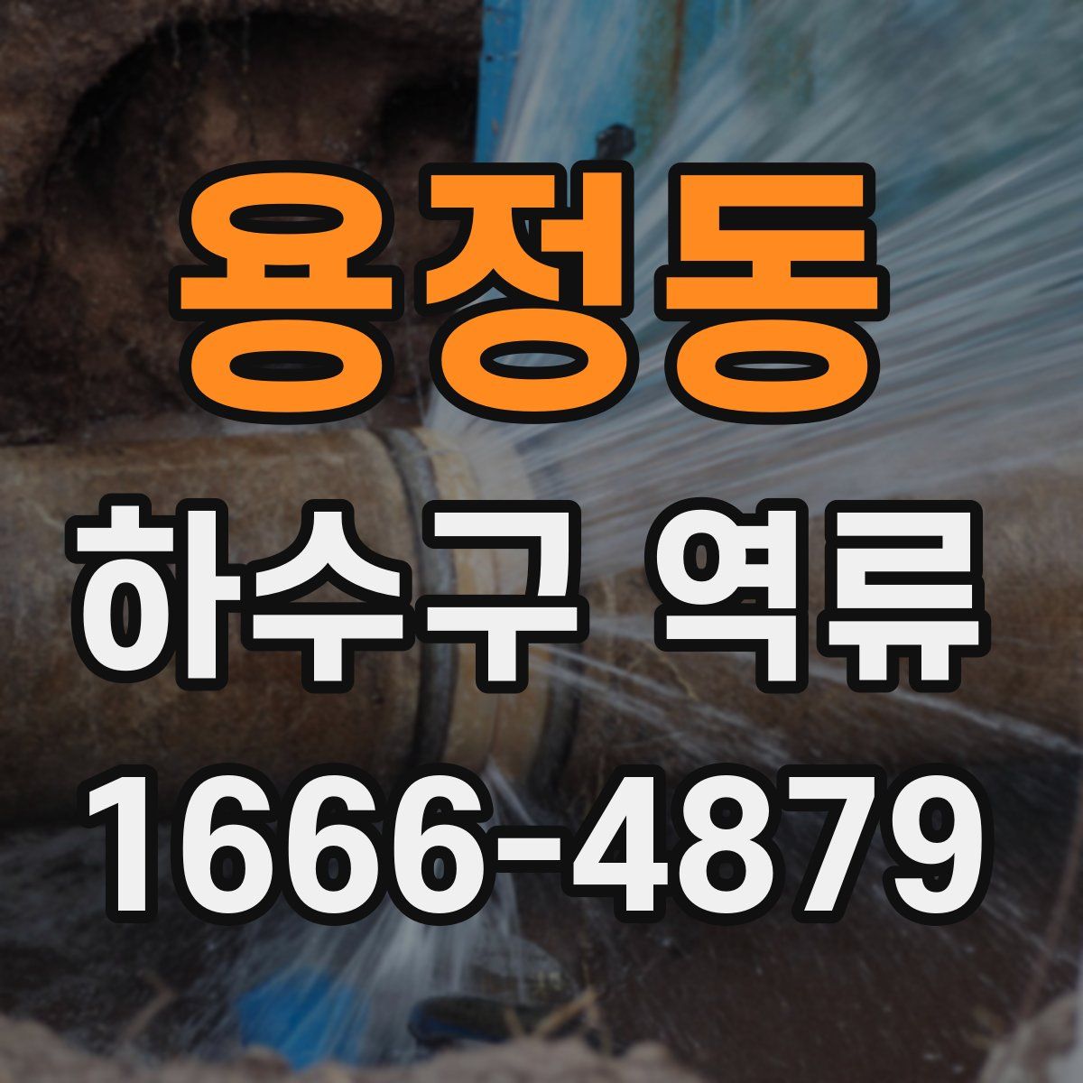 용정동 하수구 역류
