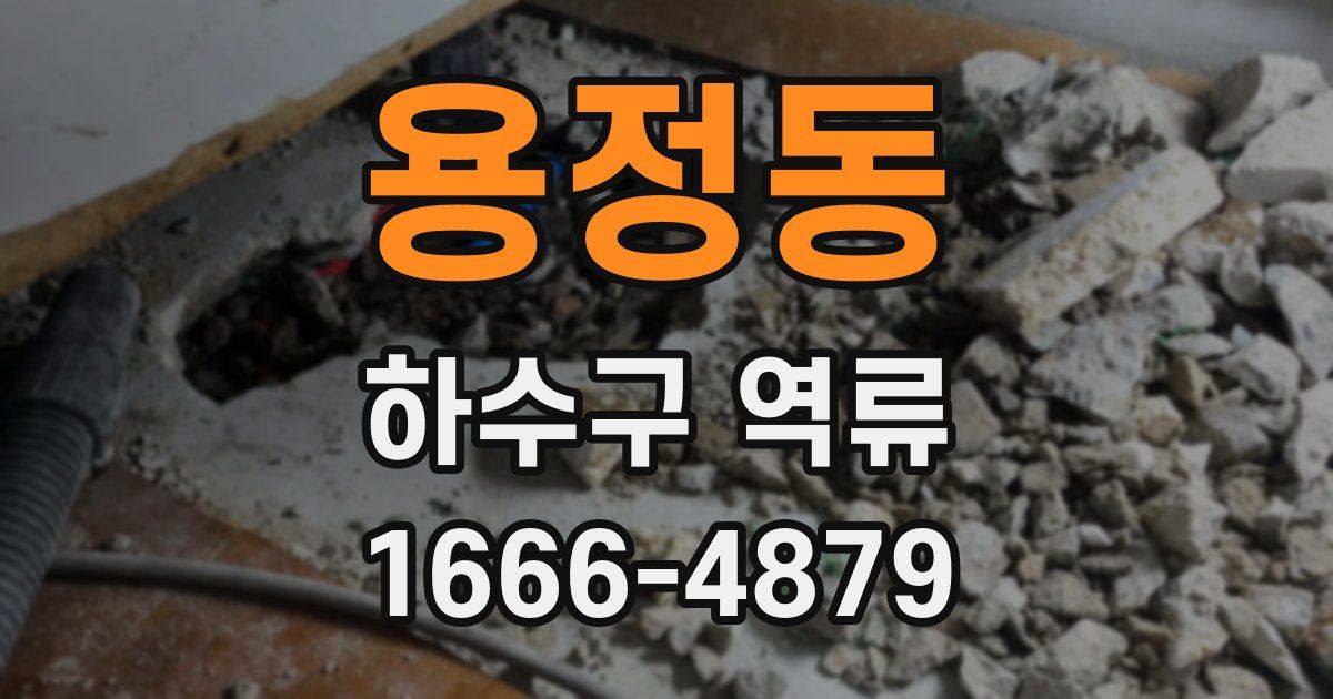 용정동 하수구 역류