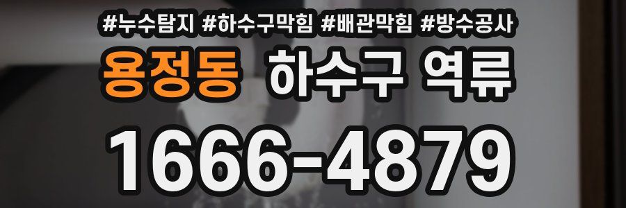 용정동 하수구 역류