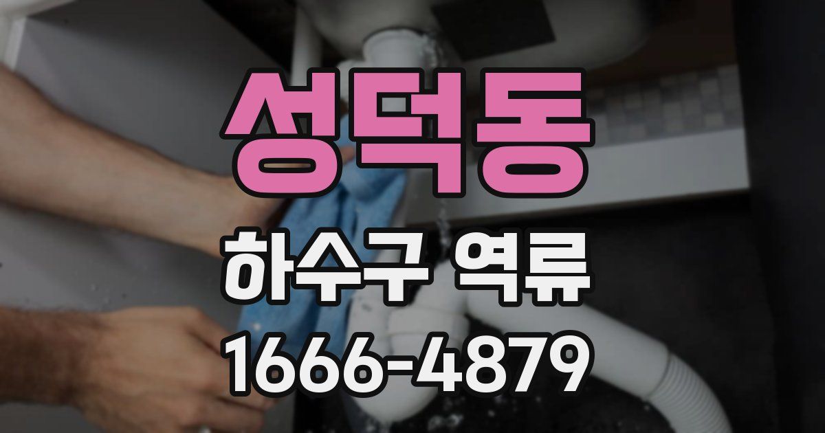 성덕동 하수구 역류