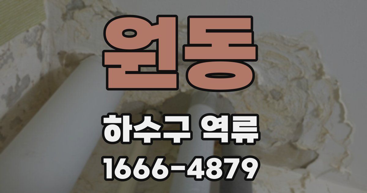 원동 하수구 역류