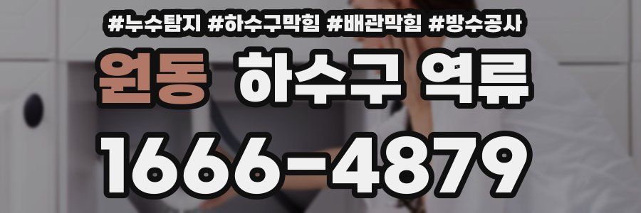 원동 하수구 역류