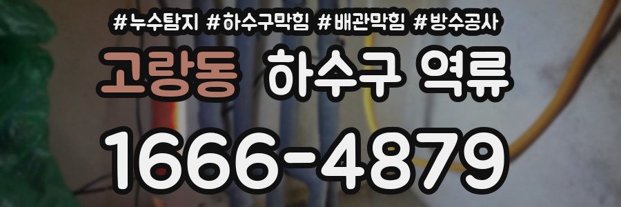 고랑동 하수구 역류