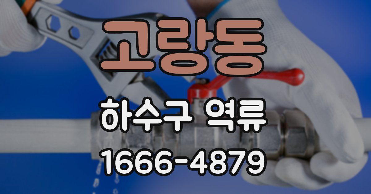 고랑동 하수구 역류