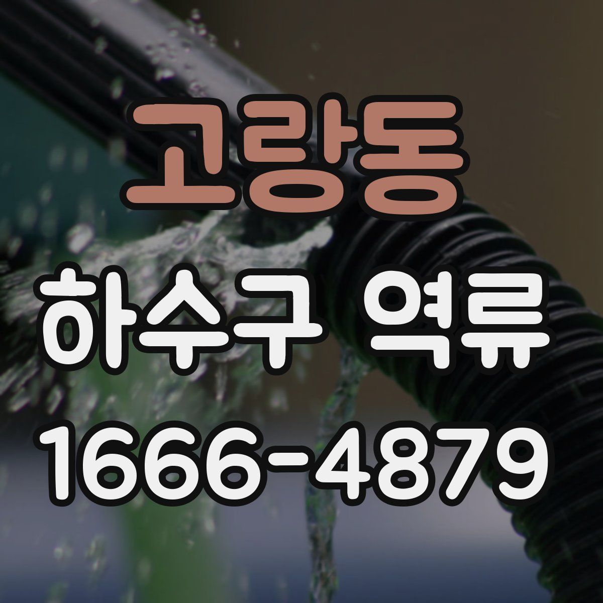 고랑동 하수구 역류