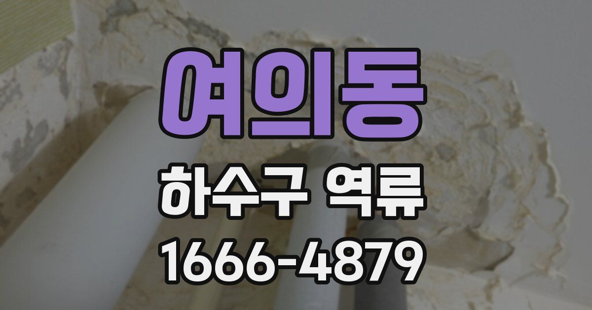 여의동 하수구 역류