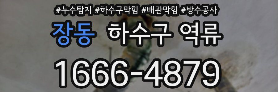 장동 하수구 역류