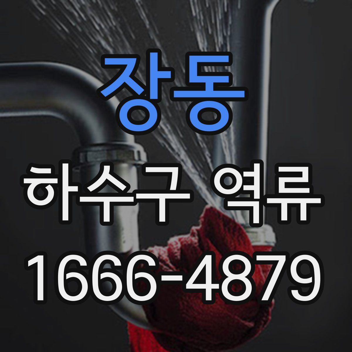 장동 하수구 역류