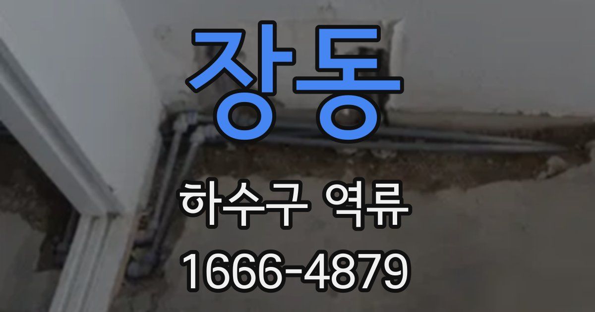 장동 하수구 역류