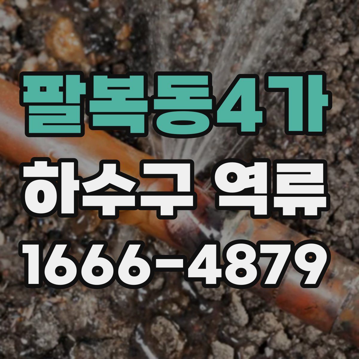 팔복동4가 하수구 역류