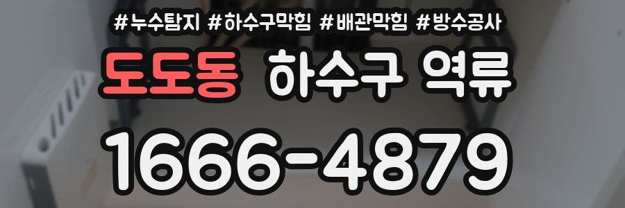 도도동 하수구 역류